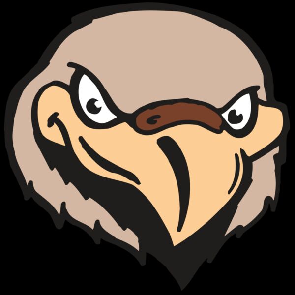 AR FALCON 33 RC Thumbnail