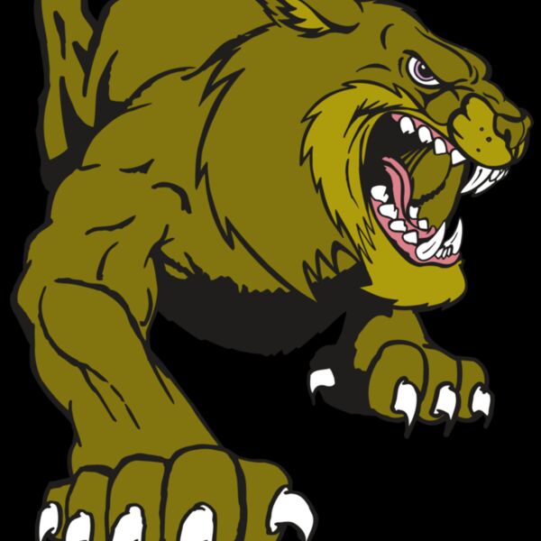 AR5 BOBCAT 24 RQC Thumbnail