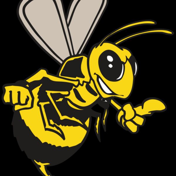 AR BEE 20 RC Thumbnail