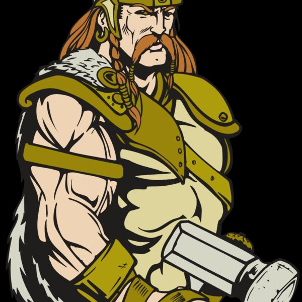 AR VIKING 38 RC Thumbnail