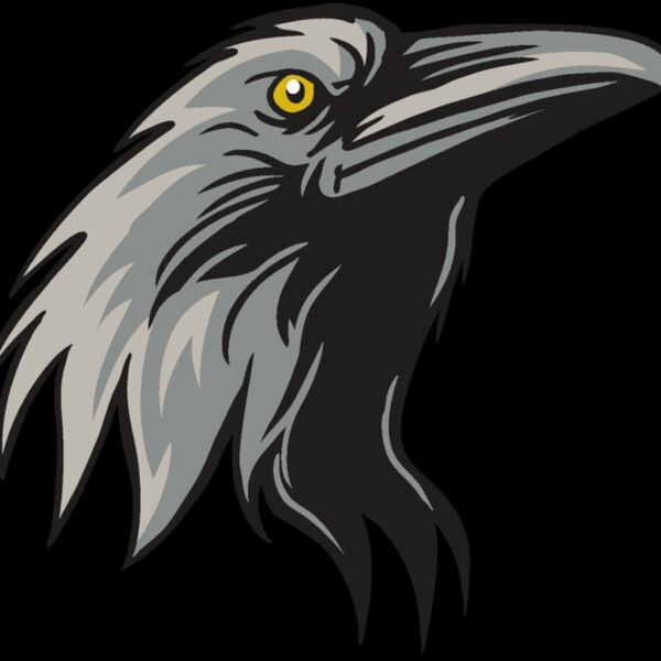 AR31 RAVEN 01 RQC Thumbnail