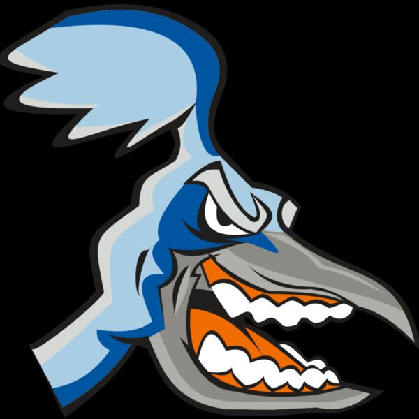 ROADRUNNER HD0504 RQC Thumbnail