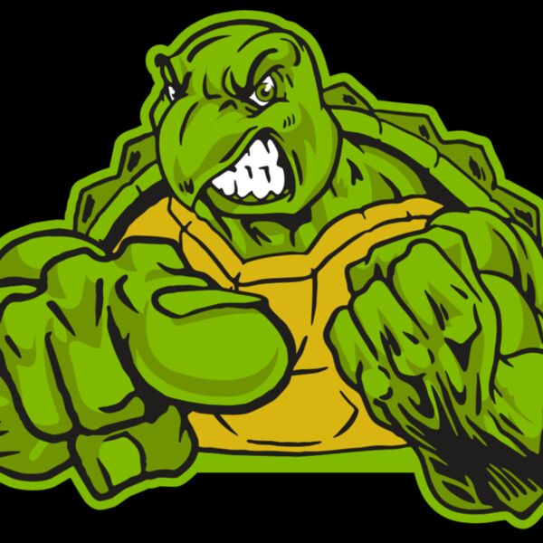 AR31 TURTLE 02 RQC Thumbnail